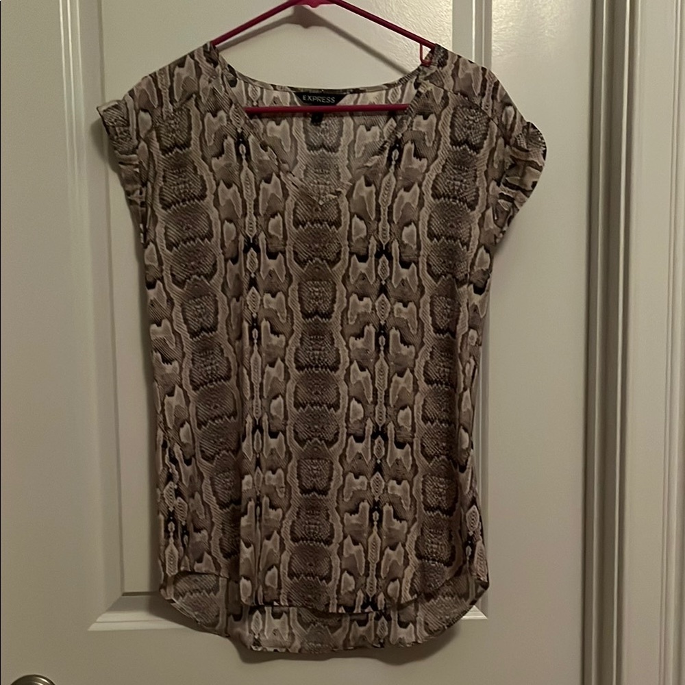 Express Brown Cream Blouse